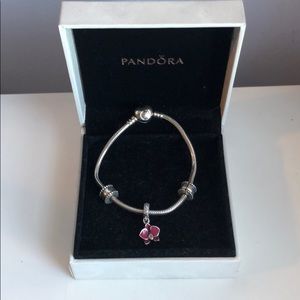 Pandora Charm Bracelet